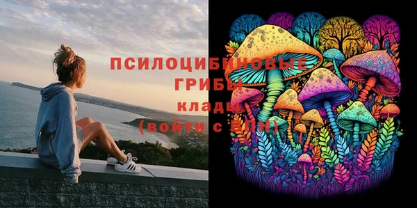 марки lsd Алексеевка